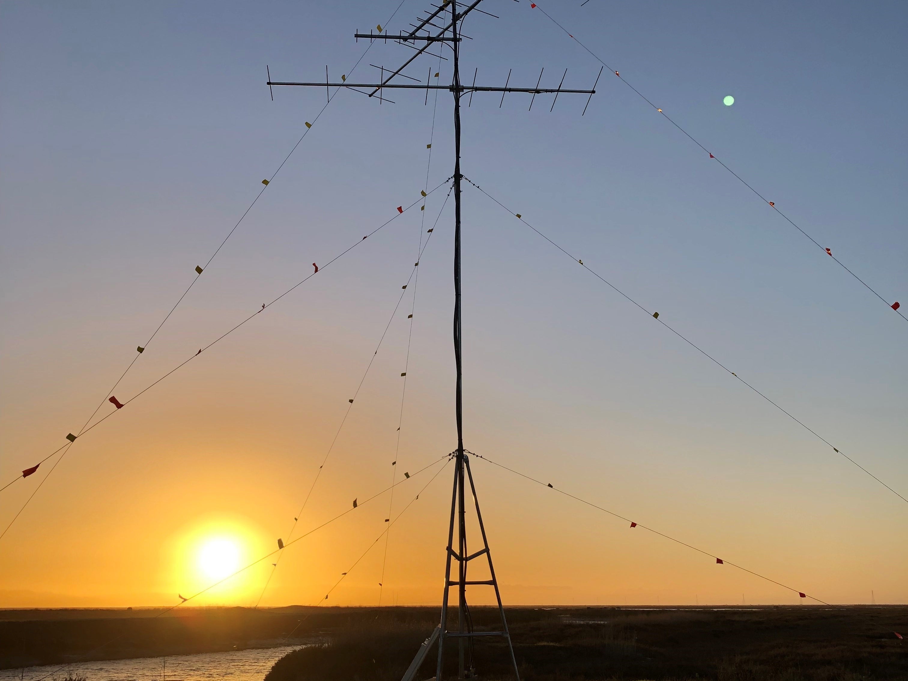 The Growth of the Motus Wildlife Tracking Network in California