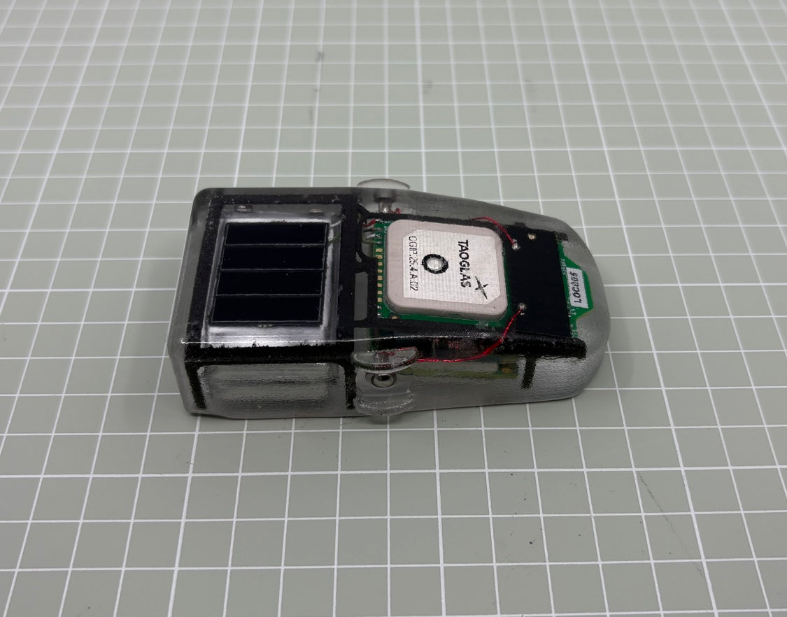 Sea Turtle Tracker – Cellular Tracking Technologies